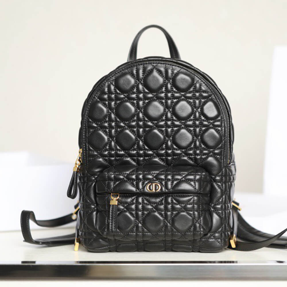 SMALL D10r BACKPACK