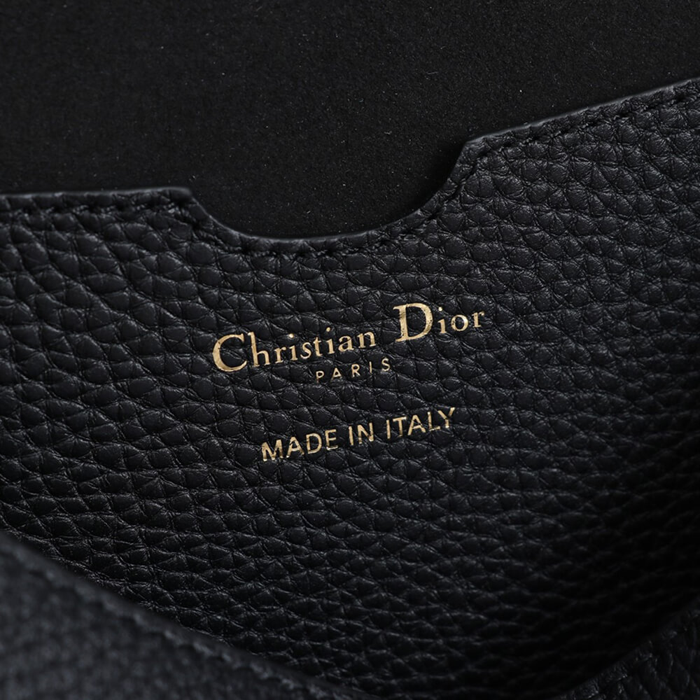 LARGE D10r BOBBY BAG