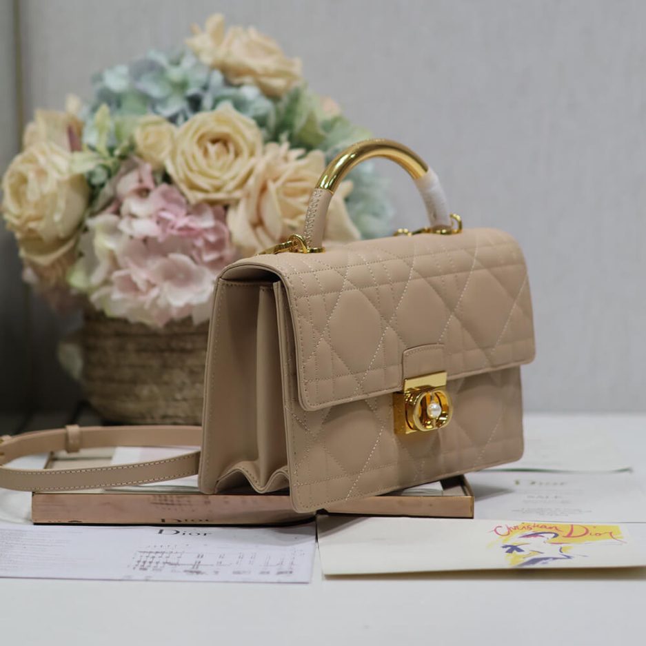 Medium D10r Ange Bag