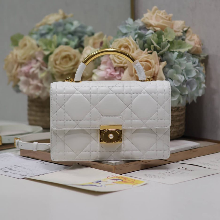 Medium D10r Ange Bag