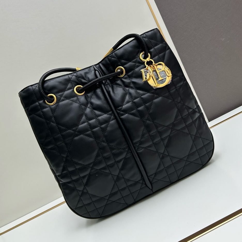 Large D10r Nolita Bag