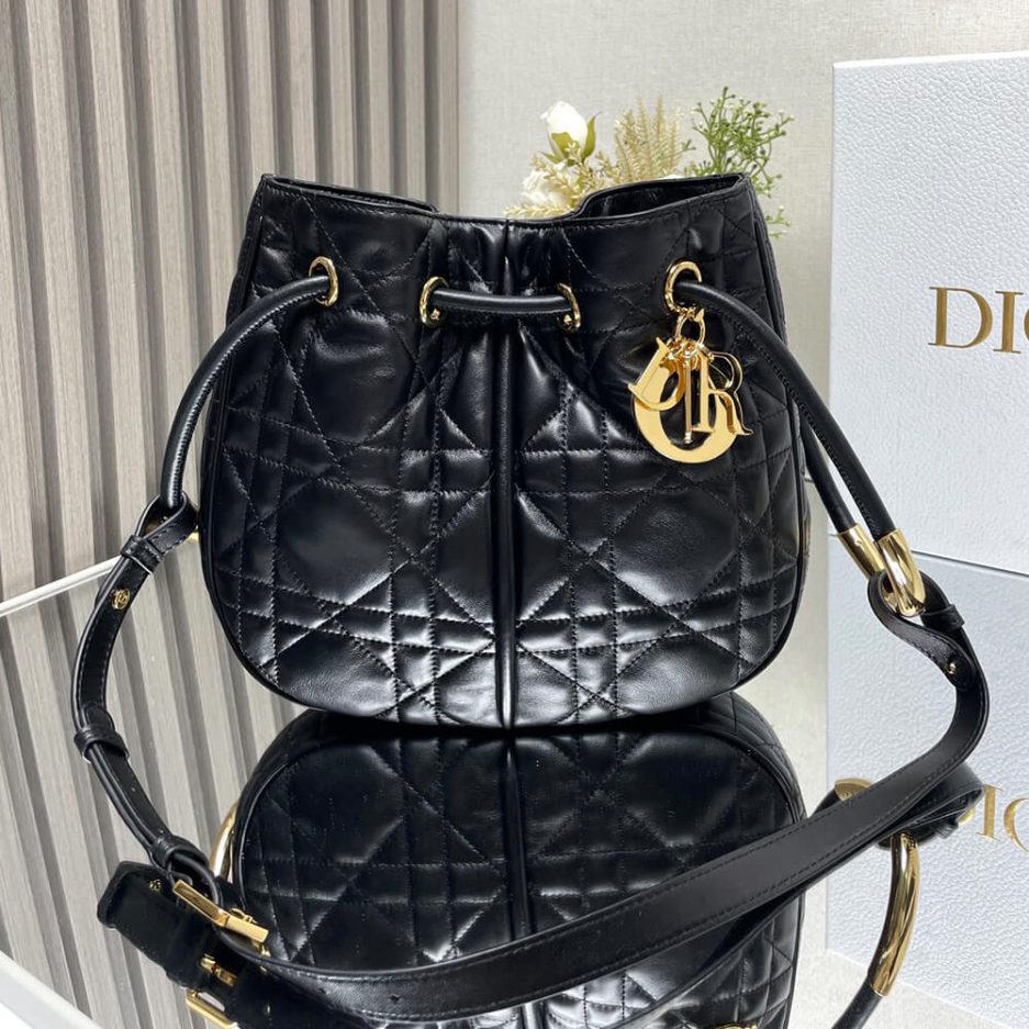 Medium D10r Nolita Bag