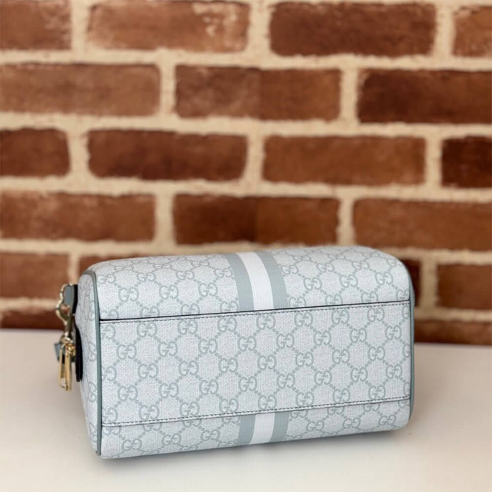 Gvc*1 Ophidia small top handle bag