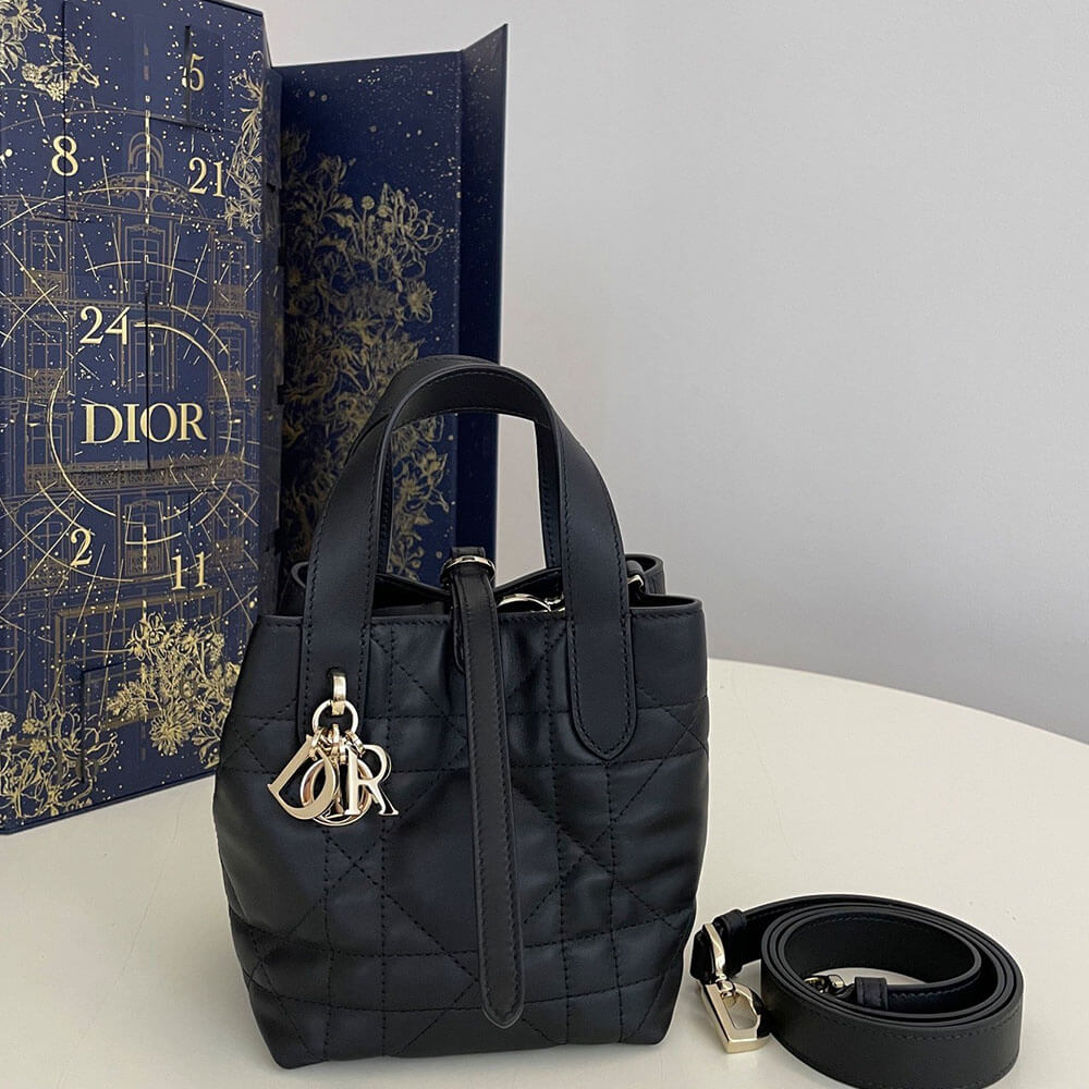 D10r Toujours Vertical Nano ToteBag(high-end grade)